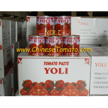 Canned Tomato Paste of Yoli Brand Brix 28-30%